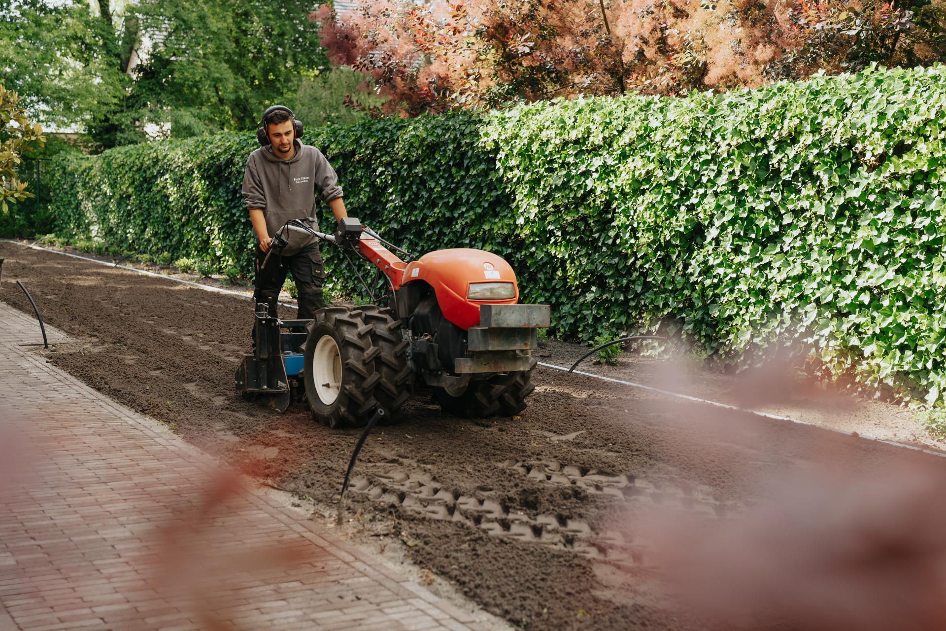Tuinfrees in actie tijdens de voorbereiding van een tuin.